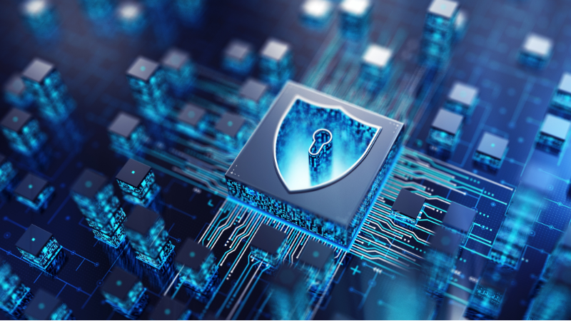 Perda de dados pode custar caro entenda como se proteger